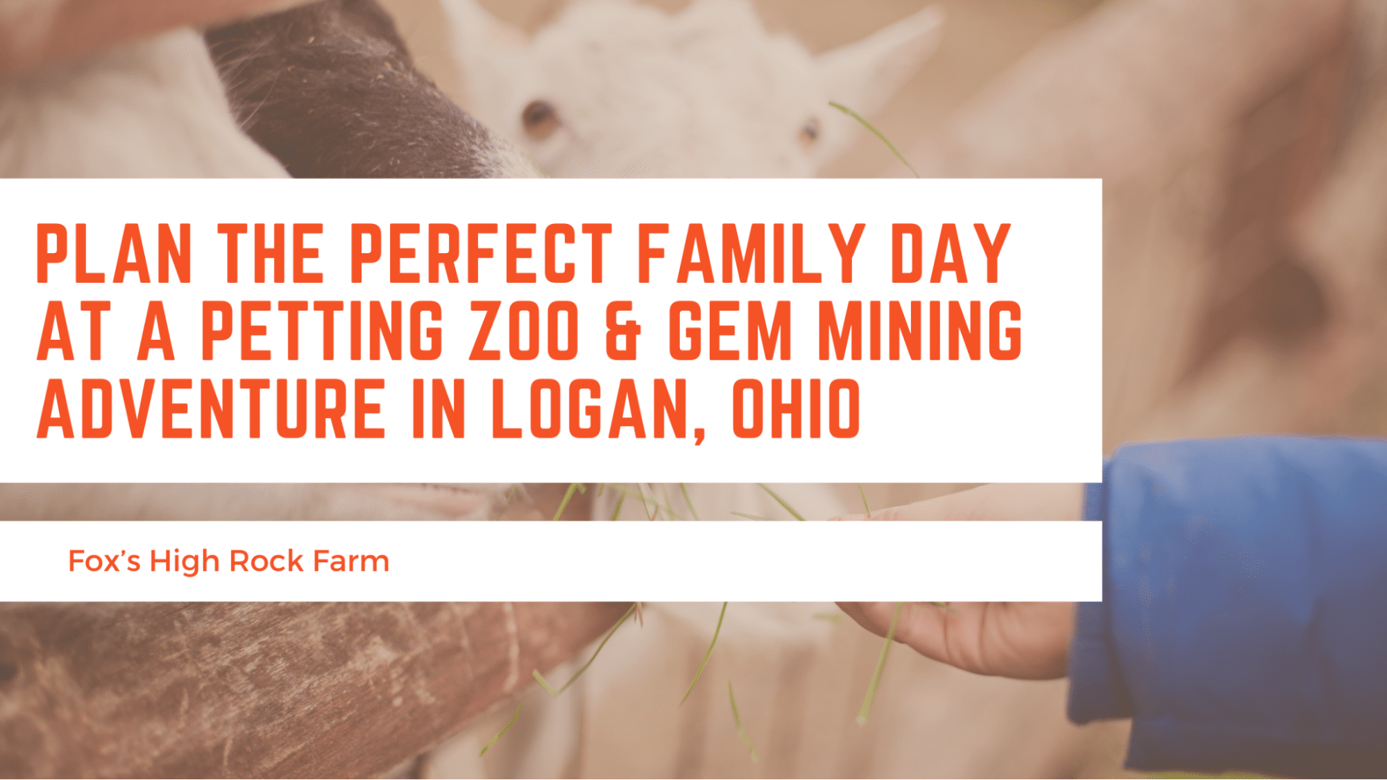 Plan the Perfect Family Day blog header image